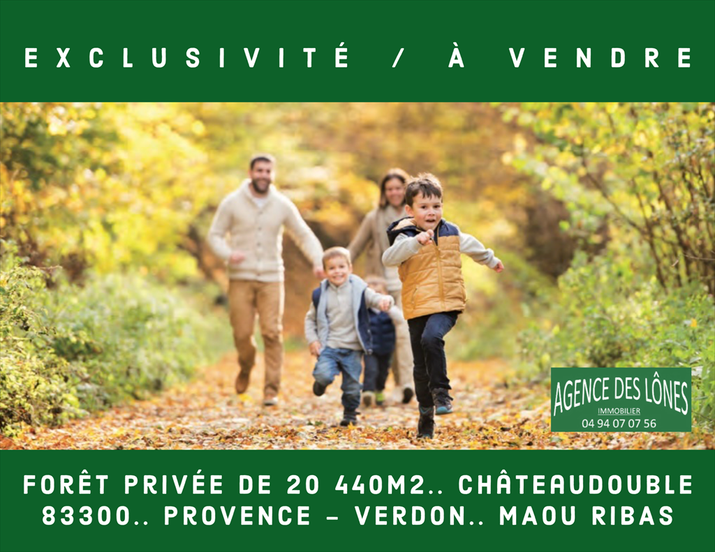 Vente Forêt Rebouillon (83300) Maou Ribas